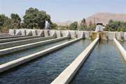 پایش و مراقبت بیماری اخطارکردنی KHV در مزارع آبزی پروری جنوب کرمان در حال انجام می باشد.