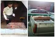 کشف و معدوم سازی 323 کیلوگرم جگر منجمد غیربهداشتی در عنبرآباد
