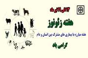 هفته مبارزه با بیماری های مشترک بین انسان و حیوان گرامی باد