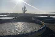 انجام نمونه گیری از مزارع پرورش ماهی به منظور پایش مالاشیت گرین