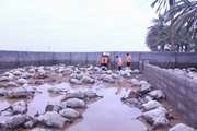 مقابله با خسارات سیلاب در دام و طیور
