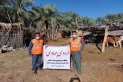 برگزاری اردوی جهادی دامپزشکی در روستاهای شهرستان عنبرآباد