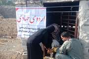 برگزاری اردوهای جهادی دامپزشکی در راستای خدمت رسانی به شهرستان منوجان