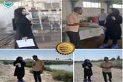 آغاز طرح ملی مراقبت فعال بیماری khv در جنوب کرمان