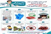 اینفوگرافی: تب خونریزی دهنده کریمه کنگو را جدی بگیریم