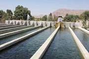 الزامات بهداشتی و نحوه اقدام مراکز تکثیر،مراکز تفریخ و مزارع پرورش ماهی قزل آلا جنوب کرمان