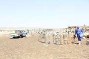 سمپاشی بیش از 40000 متر مربع اماکن دامی در بخش ساردوئیه