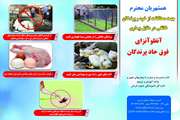 توزیع پوستر، بروشور و تراکت آنفلوآنزای فوق حاد پرندگان در جنوب کرمان
