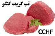 اطلاعیه بهداشتی در خصوص بیماری تب کریمه کنگو