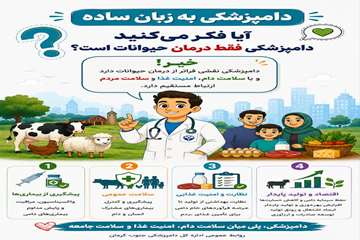 اینفوگرافی