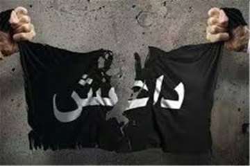 شکست تروریست ها زیر سایه وحدت/ تئوری ترور محکوم به نابودی است 