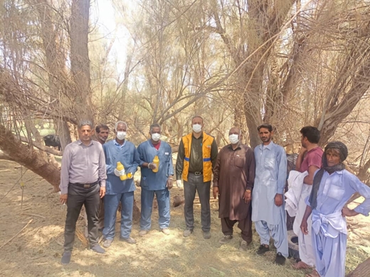 اجرای عملیات سم‌پاشی دام‌ها و جایگاه نگهداری دام در جازموریان(کلیپ)