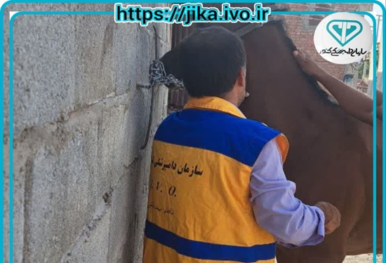 بیماری مشمشه 