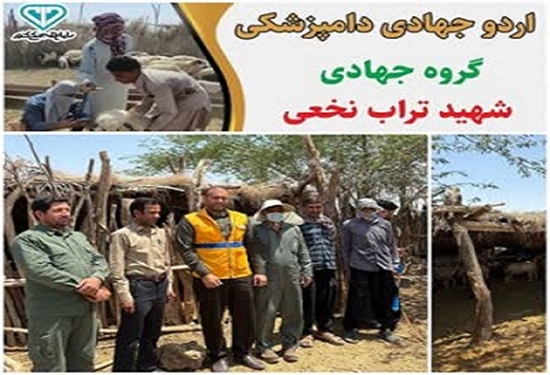 هادی زارع
