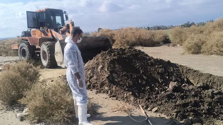 ..اقدامات دامپزشکی جنوب کرمان در پیشگیری از خسارات ناشی از سیل