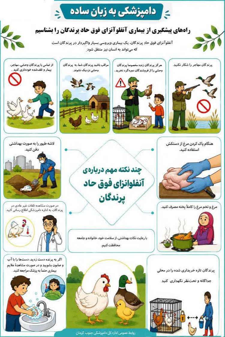 .. . اینفوگرافی: دامپزشکی به زبان ساده