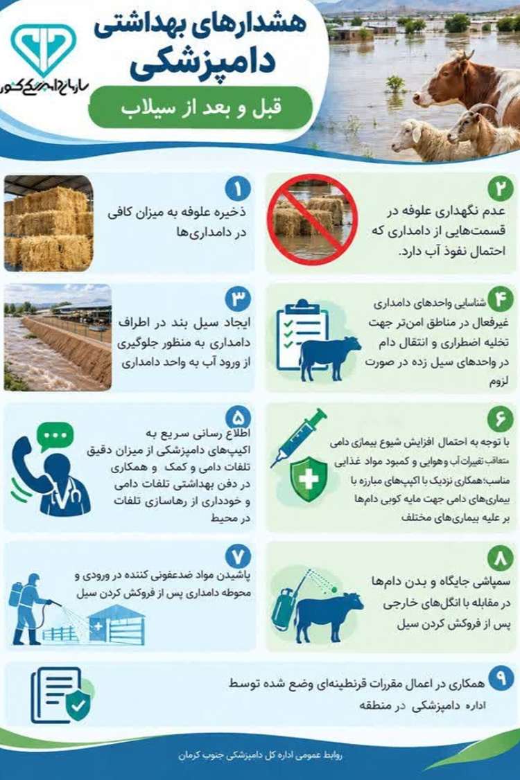 اینفوگرافی: هشدارهای بهداشتی دامپزشکی قبل و بعد از سیلاب