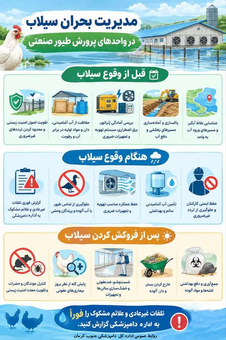 اینفوگرافی: مدیریت بحران سیلاب