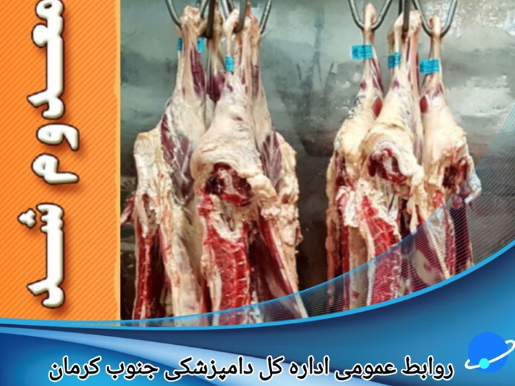 حذف ۴۰ کیلوگرم گوشت قرمز ناسالم از چرخه مصرف غذایی خانوار