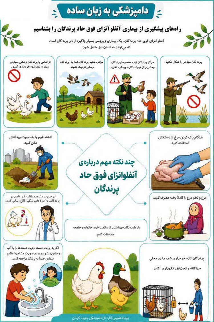 .. . اینفوگرافی: دامپزشکی به زبان ساده