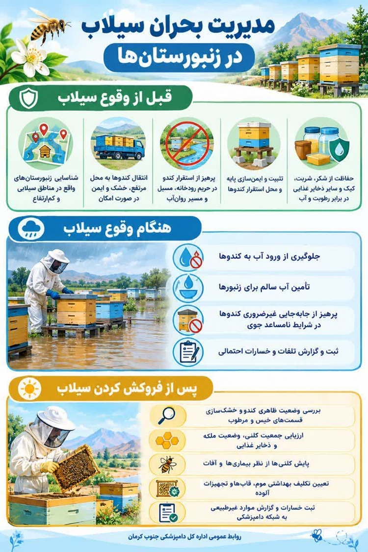 اینفوگرافی: مدیریت بحران سیلاب در زنبور‌ستان ها